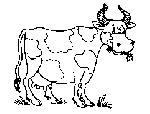88.gif