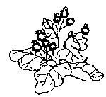 90.gif