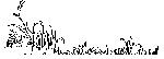 95.gif