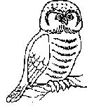 115.gif