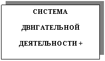 �������: ������� ������������ ������������ + ������� ��������������� ������