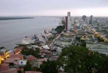 ��������: Guayaquil web