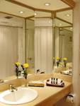 ��������: Baño Mercure baja resolucion web
