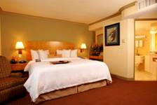 ��������: 27 Queen Bed Single Room web