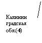 Выноска