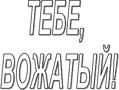 ТЕБЕ,
ВОЖАТЫЙ!