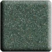 A-206 Evrgreen