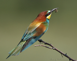 ��������: http://*****/img/2011/04/big/6.jpg
