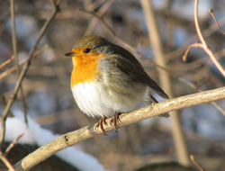 ��������: http://*****/img/2011/04/big/57.jpg