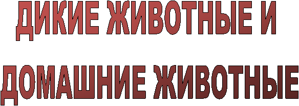 ����� �������� �

 �������� ��������