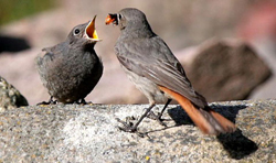��������: http://*****/img/2011/04/big/53.jpg