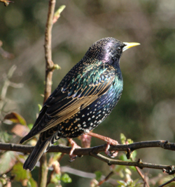 ��������: http://*****/img/2011/04/big/73.jpg