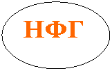 Овал: НФГ