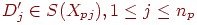 D'_j \in S(X_{pj}), 1 \leq j \leq n_p