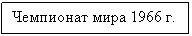 �������: