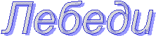 Лебеди