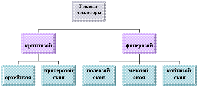 Организационная диаграмма
