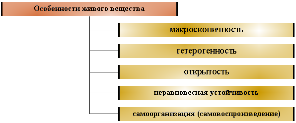 Организационная диаграмма