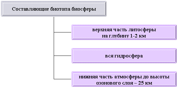 Организационная диаграмма