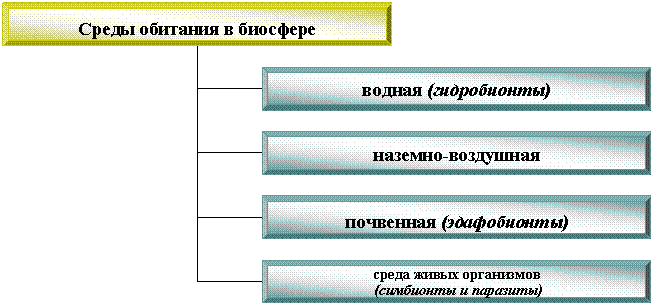 Организационная диаграмма