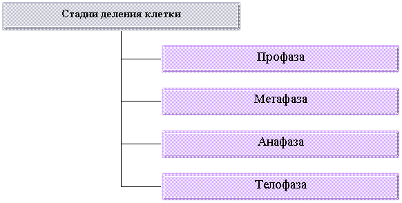 Организационная диаграмма