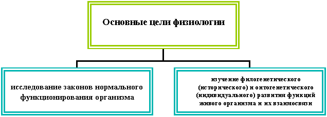 Организационная диаграмма