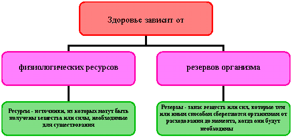 Организационная диаграмма