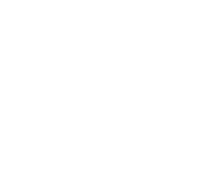 �������: