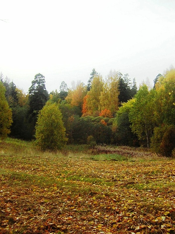 C:\Documents and Settings\Admin\Мои документы\Мои рисунки\ОСЕНЬ\0_192b2__XL.jpg