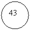 Овал: 43