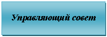 Подпись: Управляющий совет