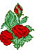 http://*****/kartinki/kartinki_07/roza_036.gif