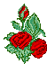 http://*****/kartinki/kartinki_07/roza_035.gif