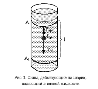 �������: 