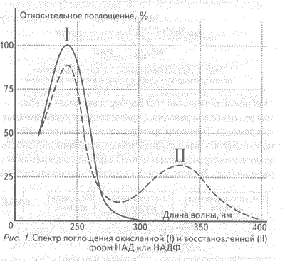 http://*****/ld2_2005/kozlov_1.gif