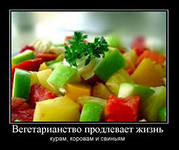 http://im5-tub-ru.yandex.net/i?id=-16-72&n=21