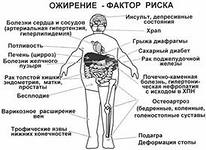 http://im8-tub-ru.yandex.net/i?id=1-72&n=21