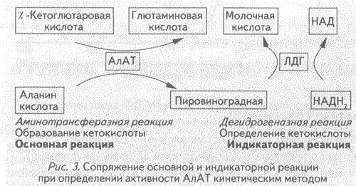 http://*****/ld2_2005/kozlov_3.gif