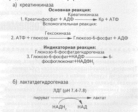 http://*****/ld2_2005/kozlov_5.gif