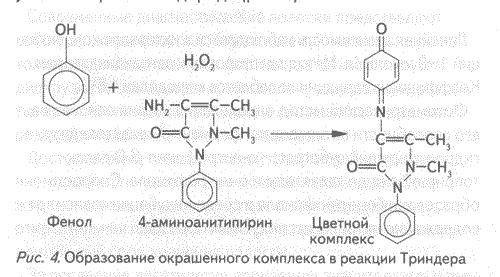 http://*****/ld2_2005/kozlov_7.gif