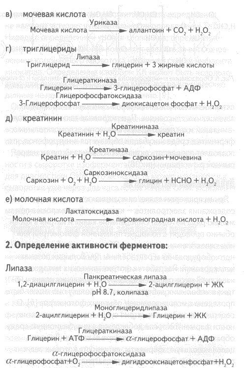 http://*****/ld2_2005/kozlov_9.gif