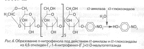 http://*****/ld2_2005/kozlov_11.gif