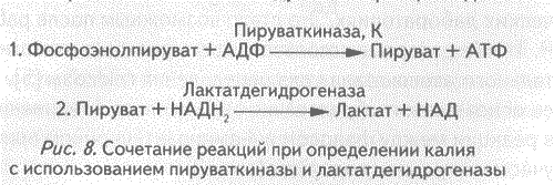 http://*****/ld2_2005/kozlov_14.gif