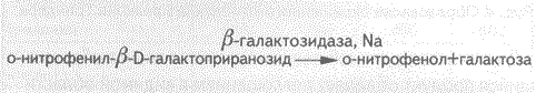 http://*****/ld2_2005/kozlov_15.gif