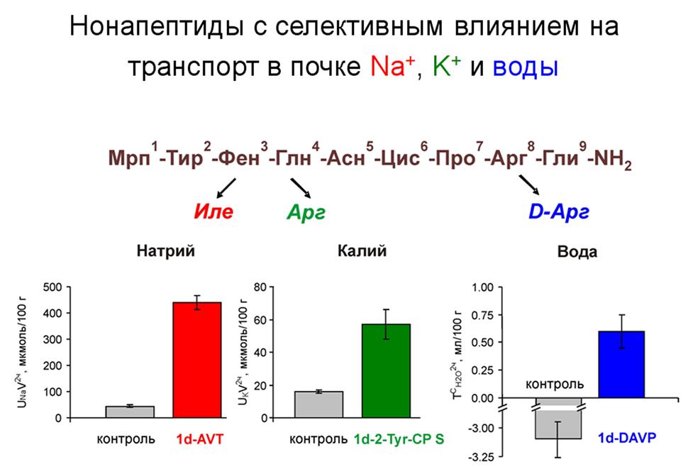 Наиважнейший Наточин 2010