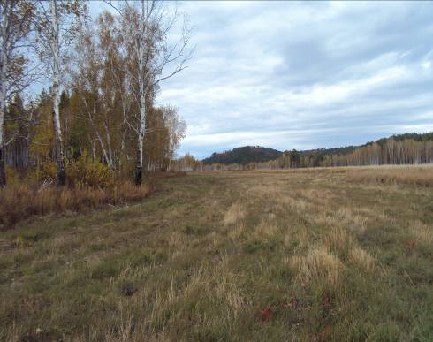 DSC01503