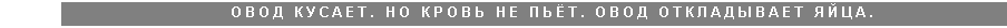 Подпись: