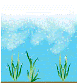 http://*****/images/risunok1.png