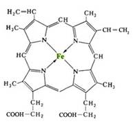 http://nsp.buykiev.com/pict/gemoglobin_molekula.jpg