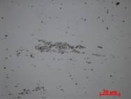 04 -02 х1000 неск эвт фаз